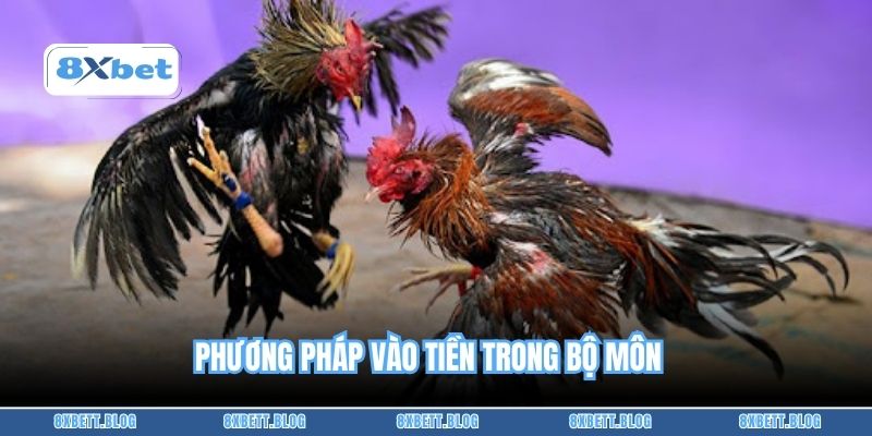 Phương pháp vào tiền trong bộ môn